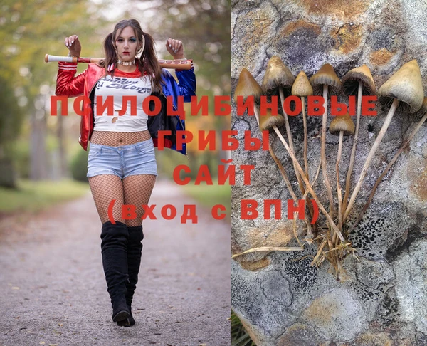 круглые Новокубанск