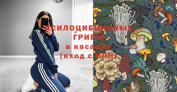 мяу мяу кристалл Новодвинск