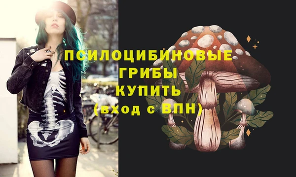 MDMA Новозыбков